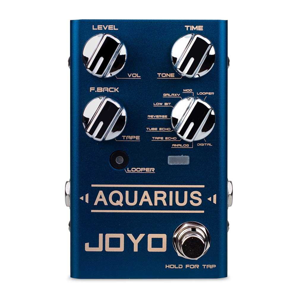 Joyo R-07 Aquarius Digital Delay   Looper Guitar Effects Pedal